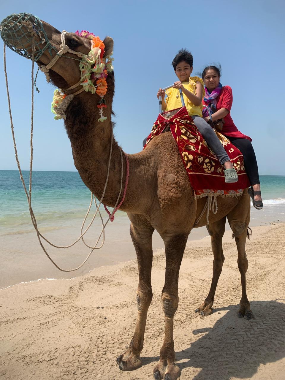 WhatsApp Image 2025 06 10 at 17.50.18_2d0eabdd